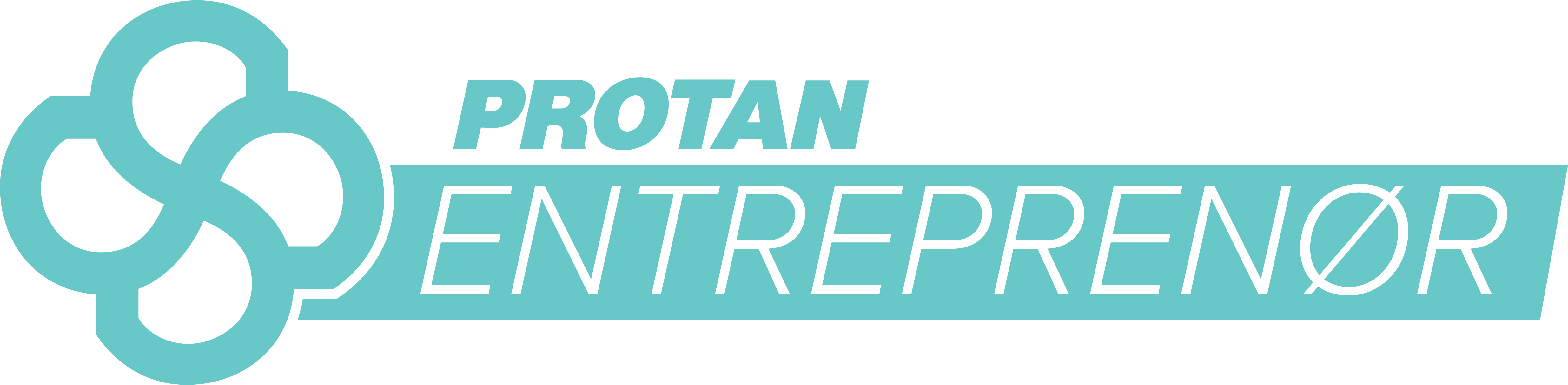 Samarbeidspartner logo 6